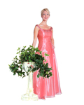 Quinceanera Dress 3632